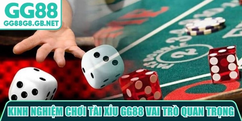 Kinh nghiệm chơi tài xỉu GG88 đóng vai trò rất quan trọng